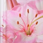 LINO ΚΟΥΡΤΙΝΑ ΜΠΑΝΙΟΥ BLOSSIA 180X200 - Image 3