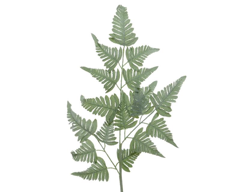 11d767da-0c27-49b0-9f9f-8891f011df4d Beauty Home ΦΤΕΡΗ 38x116cm - Image 1