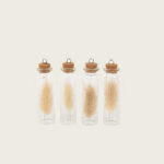 Beauty Home ΓΥΑΛΙΝΟΣ ΣΩΛΗΝΑΣ ΜΕ ΑΠΟΞΗΡΑΜΕΝΑ LAGURUS ΣΕΤ 4 ΤΜΧ ΕΚΡΟΥ 8 x 2 cm