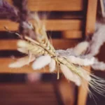 Beauty Home ΑΠΟΞΗΡΑΜΕΝΟ ΣΤΑΧΥ 70G 60CM - Image 2