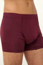 Ανδρικό Micromodal Μακρύ Μποξεράκι - Image 2