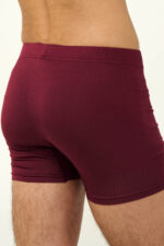 Ανδρικό Micromodal Μακρύ Μποξεράκι - Image 3