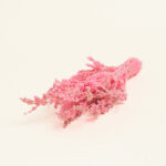 Beauty Home ΑΠΟΞΗΡΑΜΕΝΗ ΛΕΒΑΝΤΑ - Image 2