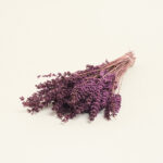 Beauty Home ΑΠΟΞΗΡΑΜΕΝΗ ΛΕΒΑΝΤΑ - Image 3