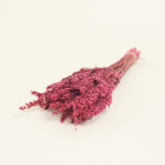 Beauty Home ΑΠΟΞΗΡΑΜΕΝΗ ΛΕΒΑΝΤΑ - Image 4