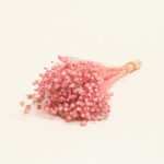 Beauty Home ΑΠΟΞΗΡΑΜΕΝΟ ΛΙΝΑΡΙ - Image 2