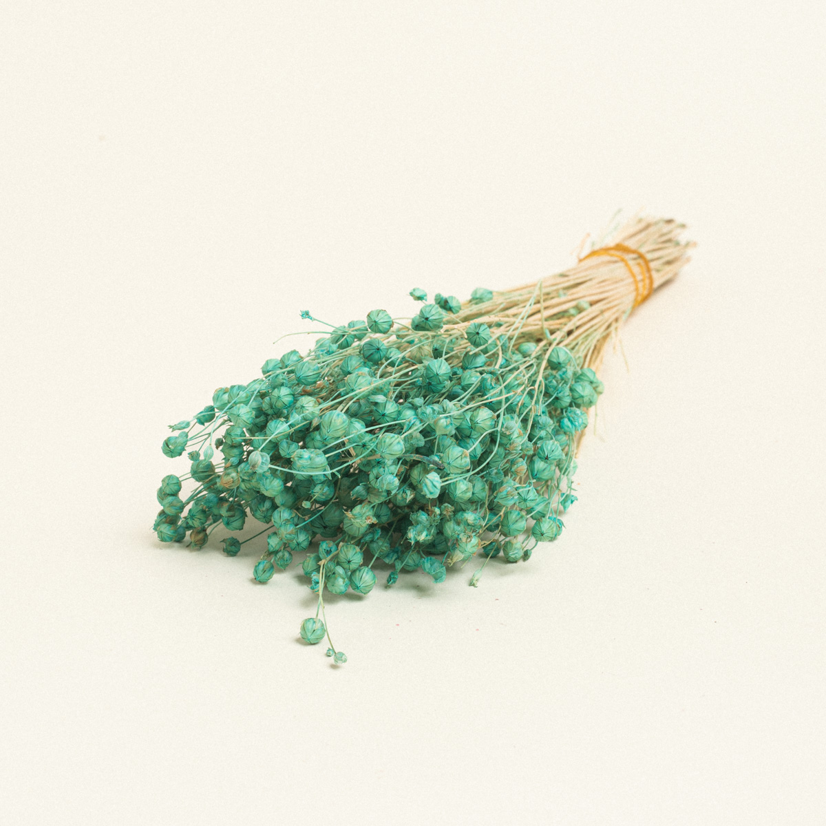 5299999245829-3 Beauty Home ΑΠΟΞΗΡΑΜΕΝΟ ΛΙΝΑΡΙ - Image 1