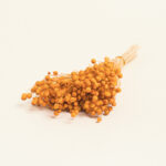 Beauty Home ΑΠΟΞΗΡΑΜΕΝΟ ΛΙΝΑΡΙ