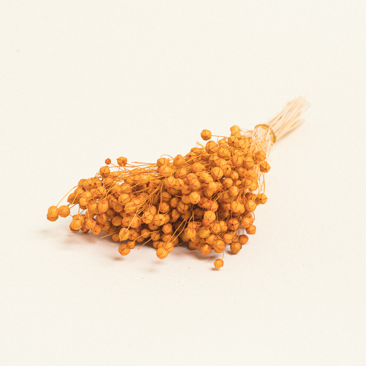 5299999245836-3 Beauty Home ΑΠΟΞΗΡΑΜΕΝΟ ΛΙΝΑΡΙ - Image 1