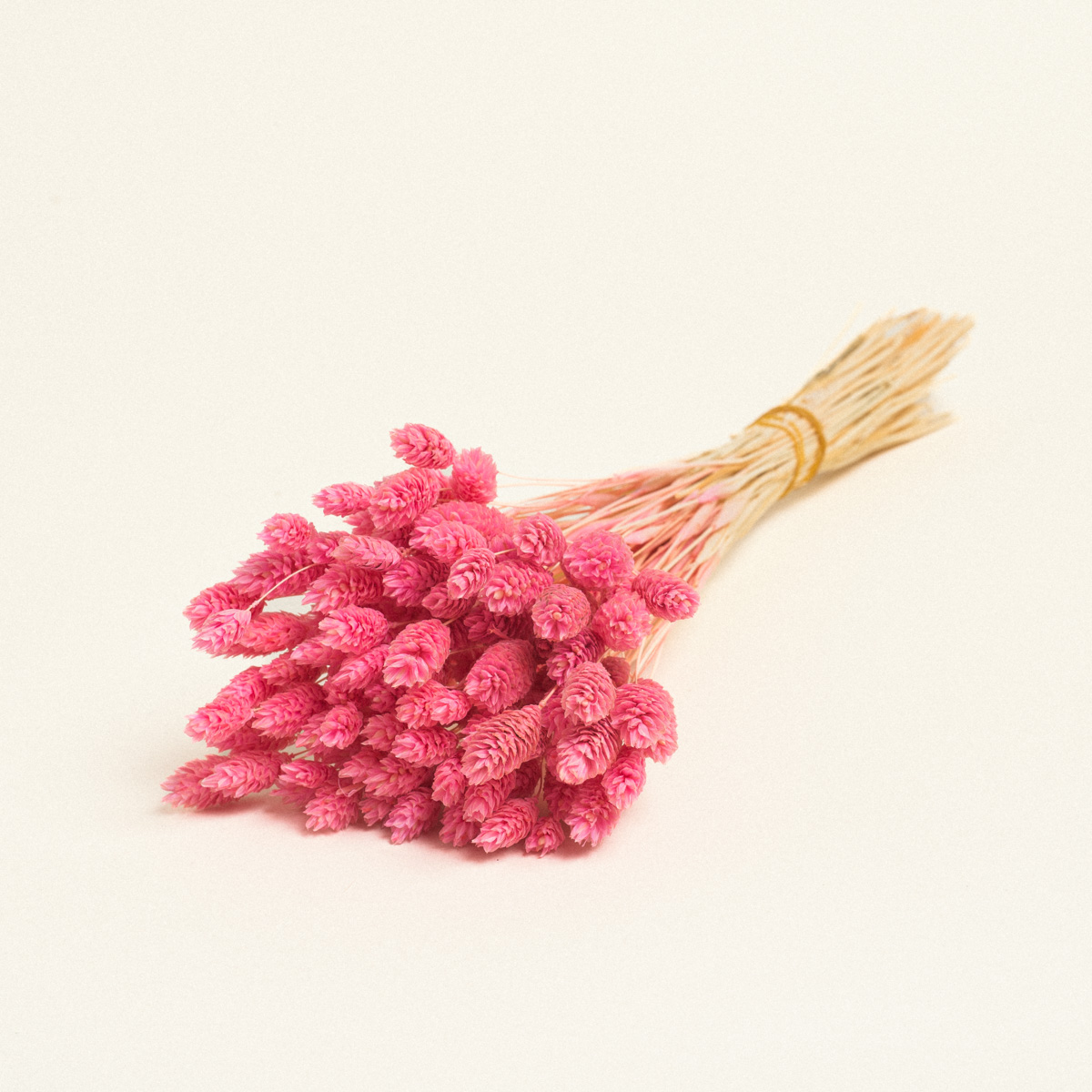 5299999245850-3 Beauty Home ΑΠΟΞΗΡΑΜΕΝΗ ΦΑΛΑΡΙΣ - Image 1