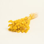 Beauty Home ΑΠΟΞΗΡΑΜΕΝΗ ΦΑΛΑΡΙΣ - Image 4