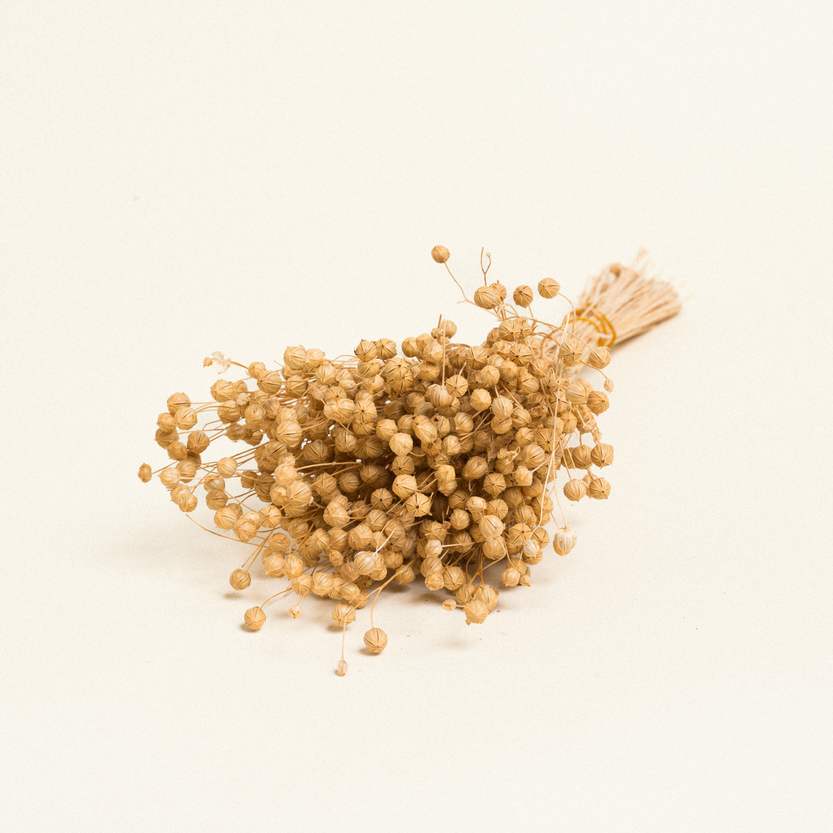 5299999245911-3 Beauty Home ΑΠΟΞΗΡΑΜΕΝΟ ΛΙΝΑΡΙ - Image 1