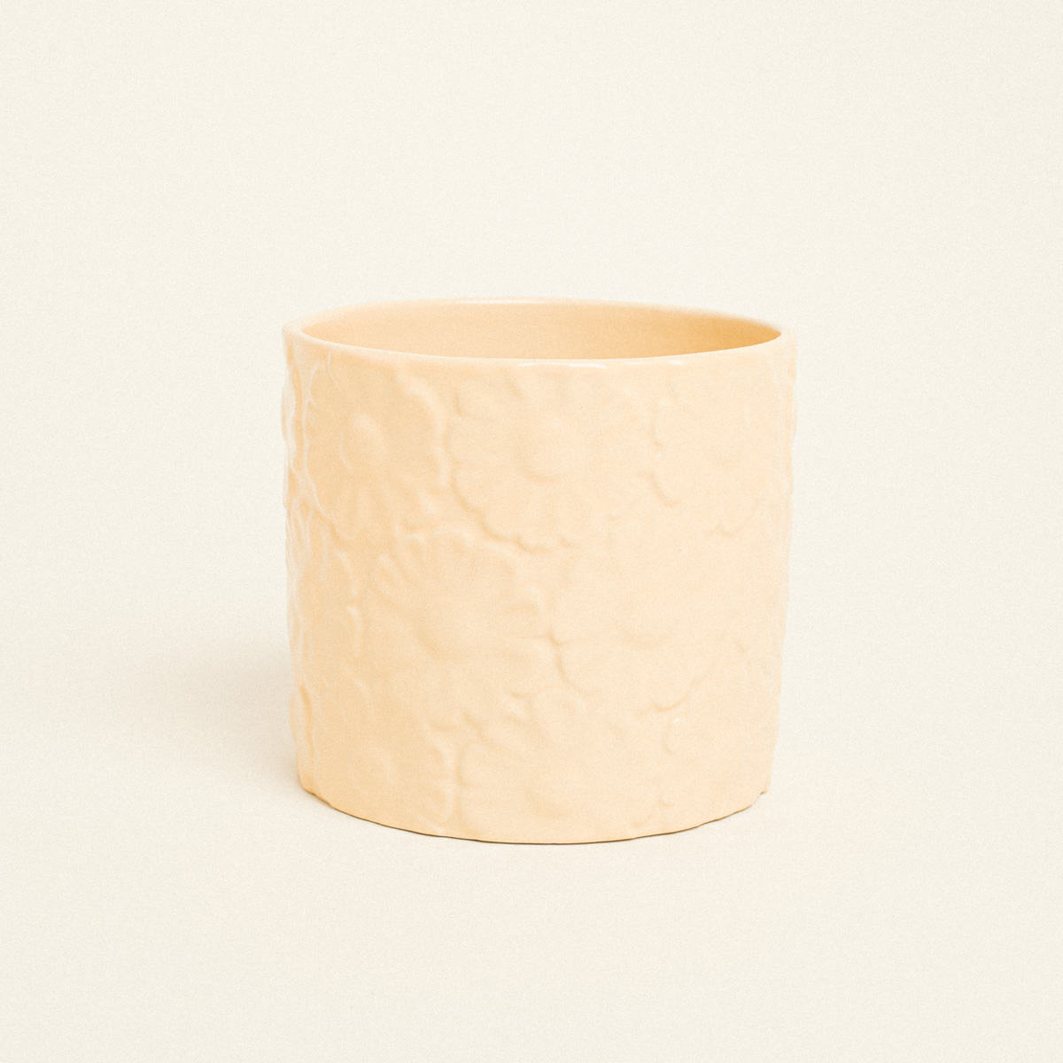 5299999248233-3 Beauty Home Κασπώ Πήλινο με Ανάγλυφο Σχέδιο Λουλουδιών
12.8cm x 13.1cm - Image 1