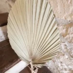 Beauty Home ΦΥΛΛΑ ΠΑΛΜΑ 70 x 33 cm - Image 3