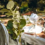 Beauty Home ΕΥΚΑΛΥΠΤΟΣ 35 CM - Image 2