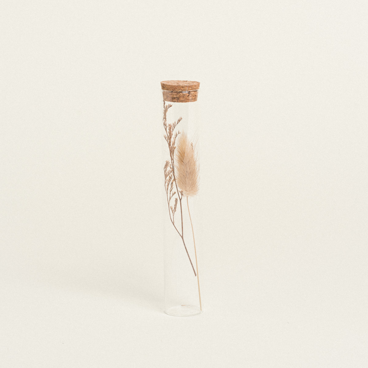 8720194578360-3 Beauty Home ΓΥΑΛΙΝΟΣ ΣΩΛΗΝΑΣ ΜΕ ΚΛΑΔΙΑ 3 x 18 cm - Image 1