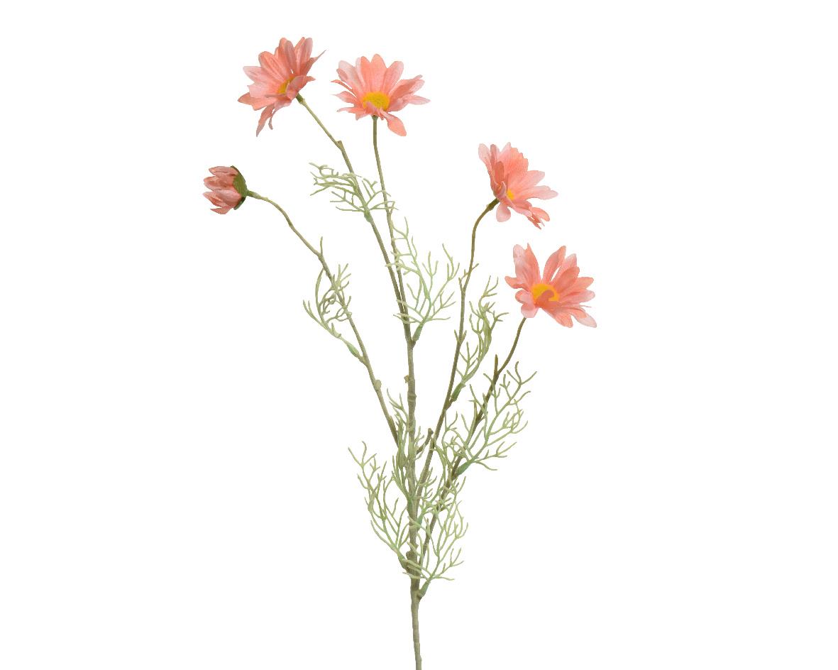 af0114f1-0d70-4644-a8da-355c70e5b38a Beauty Home ΜΑΡΓΑΡΙΤΑ ΣΟΜΩΝ - Image 1