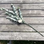 Beauty Home ΜΠΟΥΚΕΤΟ ΕΥΚΑΛΥΠΤΟΣ 83 CM - Image 2