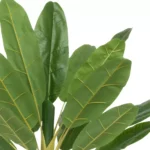 Beauty Home Φυτό Μπανάνας σε Γλάστρα 280cm - Image 2