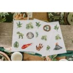 Beauty Home 36 αυτοκόλλητα με θέμα “Δεινόσαυροι” – Τα μεγέθη κυμαίνονται από 4 έως 6 cm - Image 3